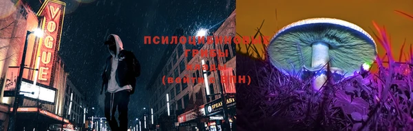 apvp Куйбышев
