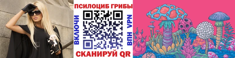 Псилоцибиновые грибы прущие грибы  даркнет сайт  маркетплейс Telegram  Малоярославец 
