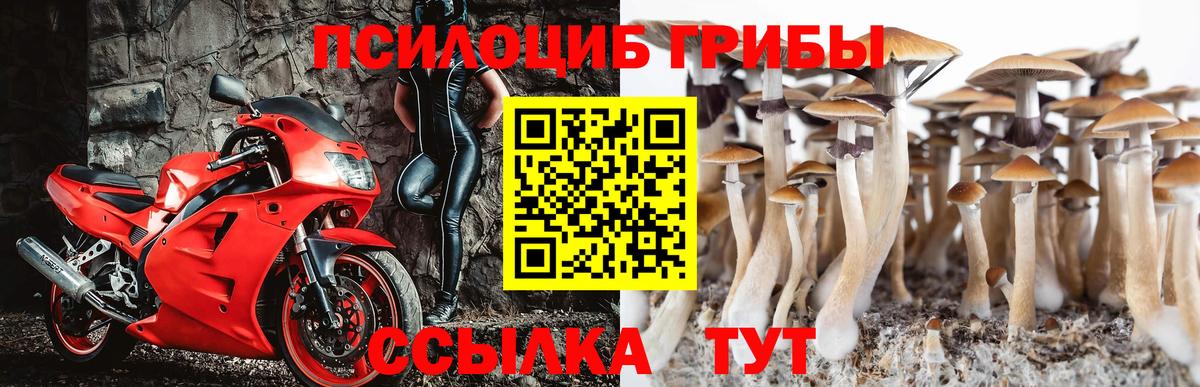 Псилоцибиновые грибы Magic Shrooms Малоярославец